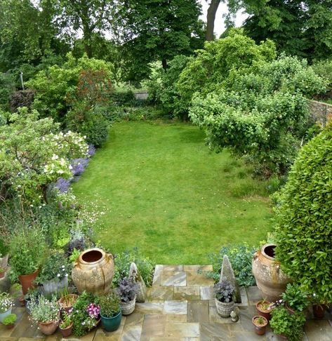 Garden Visit: At Home with Writer Daisy Garnett in London Small Courtyard Gardens, London Garden, Big Garden, City Garden, Back Gardens, Courtyard Garden, Back Garden, Pool Landscaping, Small Gardens