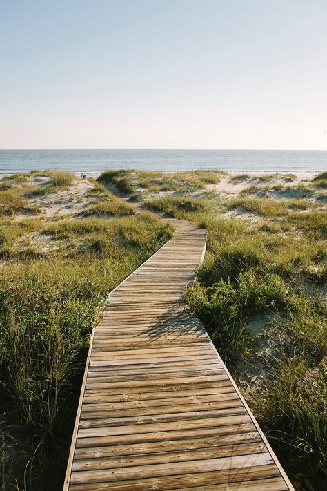 Beach Aesthetic House, Beach Boardwalk Aesthetic, Floating Boardwalk, Boardwalk Landscape, Beach Lifestyle Aesthetic, Boardwalk Aesthetic, Beach Landscape Design, Beach Life Style, Beach Landscaping