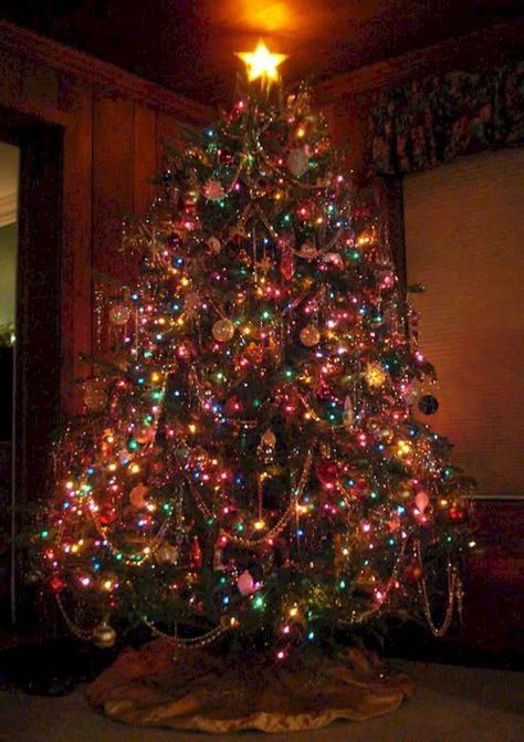 Colored Light Christmas Tree Ideas, Christmas Tree With Coloured Lights, 2000s Christmas, Wallpaper Natal, Christmas Tree Wallpaper, Christmas House Lights, Hall Kitchen, Colored Lights, Elegant Christmas Trees