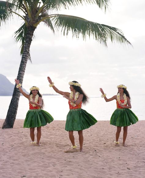 Hula dancers Hawaii Girl Aesthetic, Hawaiian Hula Dance, Hawaii Girl, Tahitian Costumes, Tahitian Dance, Hawaii Holiday, Hawaiian Dancers, Cow Costume, Hula Dance