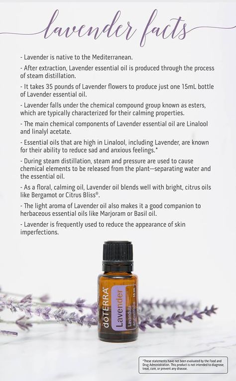 Terra Essential Oils, Doterra Lavender, Oils For Sleep, Oil Diffuser Recipes, Essential Oil Benefits, Doterra Oils, Diy Essential Oils, Oil Uses, Aromatherapy Oils