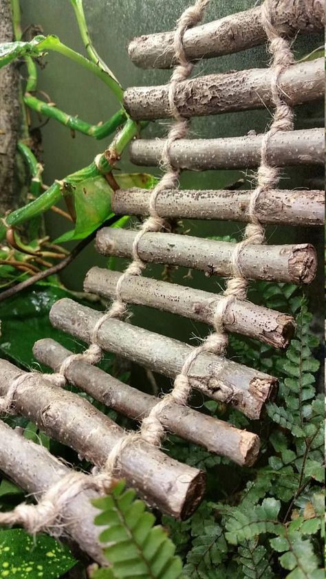 Medium walnut and jute climbing ladder for reptiles and hermit crab - #climbing #crab #hermit #jute #ladder #Medium #reptiles #Walnut Pet Turtle Care, Homemade Bird Toys, Hermit Crab Habitat, Lizard Habitat, Diy Reptile, Bearded Dragon Diy, Snake Enclosure, Hamster Diy, Turtle Care