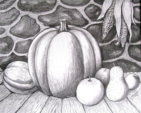 Pumpkin Project Still Life Pencil Shading, Basic Drawing For Kids, Fall Paintings, Halloween Wallpaper Iphone Backgrounds, Pumpkin Drawing, Pencil Drawing Tutorials, Pencil Shading, Pencil Drawings Easy, Drawing Faces