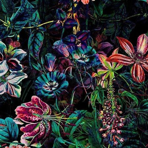 Burcu Korkmazyürek on Instagram: "EXOTIC GARDEN - NIGHT IX 🌙 @society6 . . . . #night #midnight #pattern #flowers #floral #botanical #tropical #exotic #garden #art"