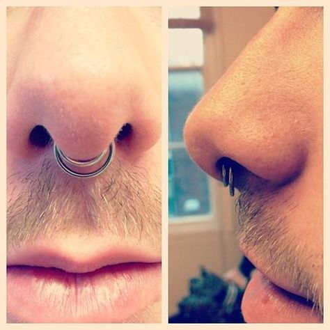 Double Septum Piercing.                                                                                                                                                     Más Double Septum Piercing, Septum Guy, Boys Piercing, Tragus Hoop Piercing, Double Septum, Piercing Men, Piercing Girl, Double Nose Piercing, Men's Piercings