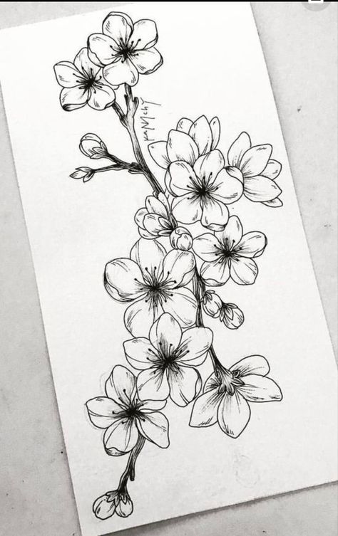 Cherry Blossom Tattoo Shoulder, Cherry Blossom Drawing, Blossom Tree Tattoo, Flowers Step By Step, How To Draw Flowers, Draw Flowers, Pola Bordir, Floral Tattoo Design, Blossom Tattoo