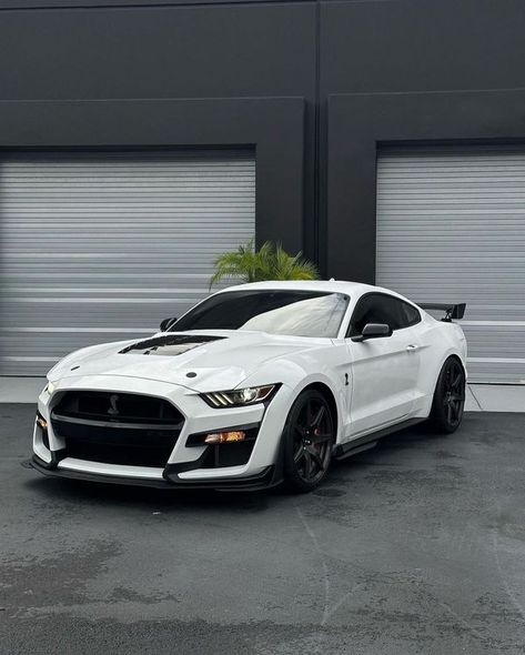 White Mustang Gt, White Ford Mustang, White Mustang, Sports Cars Mustang, Mustang Wallpaper, Ford Mustang Cobra, Ford Mustang Shelby Gt500, Mustang Cobra, Shelby Gt