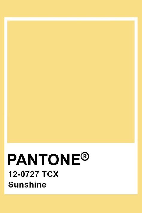 Pantone Sunshine Daisy Colour Palette, Pantone Yellow Shades, Pantone Sunflower, Pantone Tcx, Pantone Colours, Yellow Pantone, Pantone Swatches, Pantone Palette, Pantone Colour Palettes