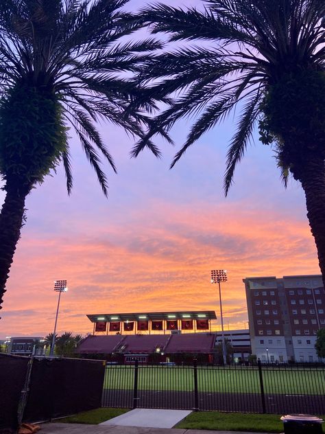 Pretty College Campus, University Of Tampa Aesthetic, Pretty Colleges, Uf Campus, Florida University, College Vision Board, University Of Tampa, Colleges In Florida, Puntarenas