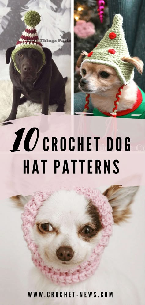 Crochet Dog Hats, Crochet Dog Hat Free Pattern, Bunny Hat Crochet, Crochet Dog Hat, Kat Haken, Dog Hats, Crochet Dog Clothes, Dog Beanie, Dog Snood