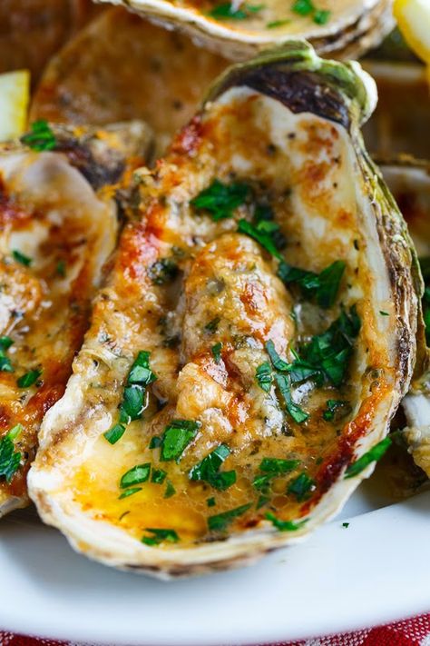 Chargrilled Oysters Oyster Pasta Recipes, Shucked Oyster Recipes, Oysters On The Half Shell, Grilled Oysters, Recipes Seafood, Shell Fish, Oyster Recipes, Seafood Dinner, Calamari