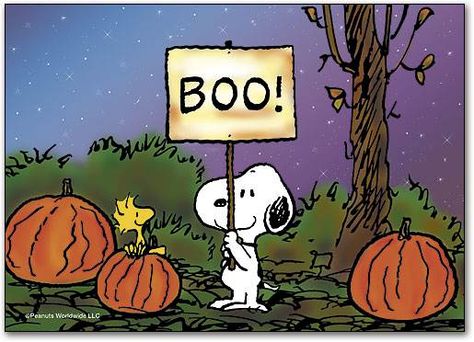 If you are from the North, you will get where I am coming from. Pumpkin Painting Ideas Disney, Pumpkin Painting Ideas Halloween, Painting Ideas Disney, Painting Ideas Halloween, Great Pumpkin Charlie Brown, It's The Great Pumpkin, Peanuts Halloween, Charlie Brown Halloween, Snoopy Halloween