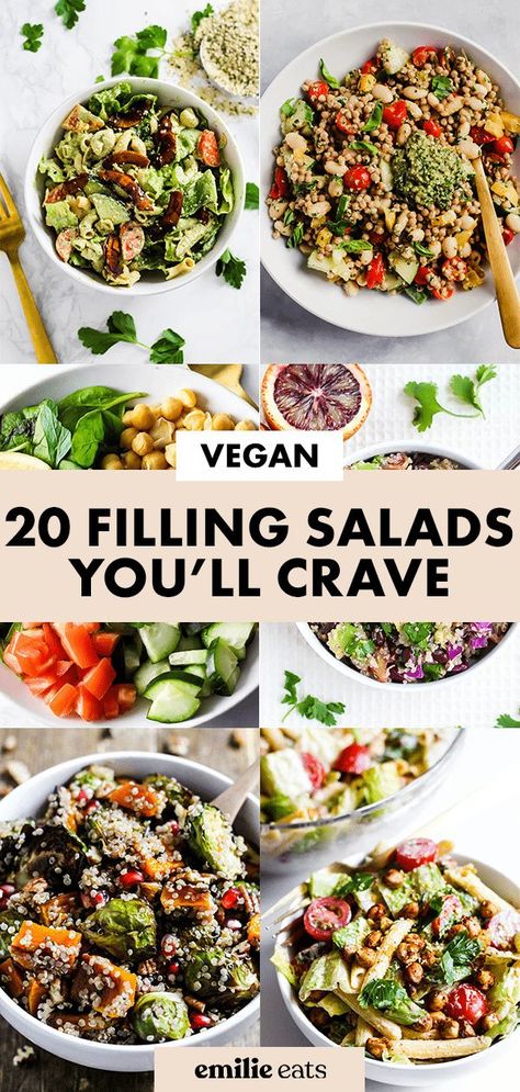 Say no to sad salads! These 20 filling salad recipes will keep you satisfied. All of these vegan salads are full of fresh flavors and healthy plant-based protein! Protein Salad Vegetarian, Best Vegan Salads, Protein Salad Recipes, Filling Salad Recipes, Vegan Pasta Salad, Low Calorie Vegan, Power Salad, Healthy Vegetarian Dinner, Vegetarian Salad Recipes