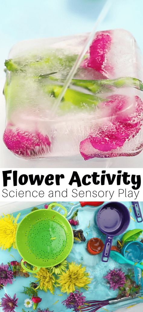 Daycare Spring Activities, Spring Time Toddler Activities, Spring Provocations For Preschool, Spring Science For Toddlers, Letter F Science For Preschoolers, Flowers Activity Preschool, Flower Provocations, Spring Season Activities For Preschool, Plant Toddler Activities