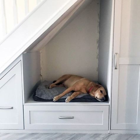 Top 70 Best Under Stairs Ideas - Storage Designs Beneath Stairs Storage, Dog Corner Under Stairs, Understairs Storage With Dog Bed, Storage Area Under Stairs, Under Stair Storage And Dog Bed, Under Stairs Renovation, Low Under Stairs Storage Ideas, Under Stairs Storage Dog Bed, Pet Bed Under Stairs