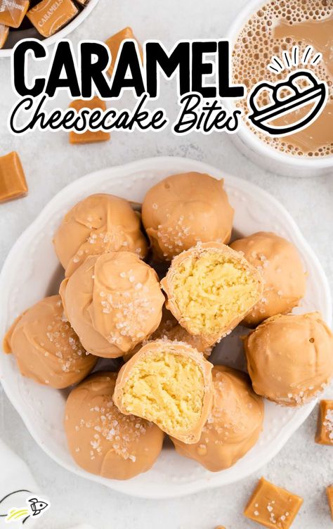 Mini Caramel Cheesecake, Protein Pops, Truffles Candy, Truffle Cookie, Caramel Cheesecake Bites, Cake And Cheesecake, Butter Pecan Cheesecake, Cake Pucks, Chocolate Cheesecake Bites