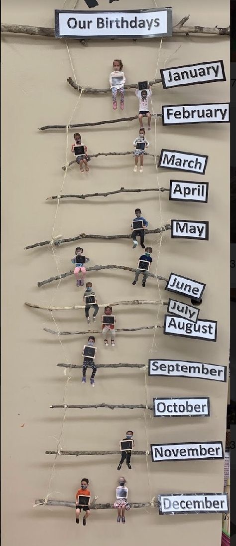 Diy Reggio Classroom Decor, Photography Activities For Preschool, Outdoor School Decorations, Kindergarten Birthday Board, Reggio Birthday Display, Year 2 Classroom Ideas Uk, Hopes And Dreams Display, Year 3 Classroom, Birthday Classroom Display