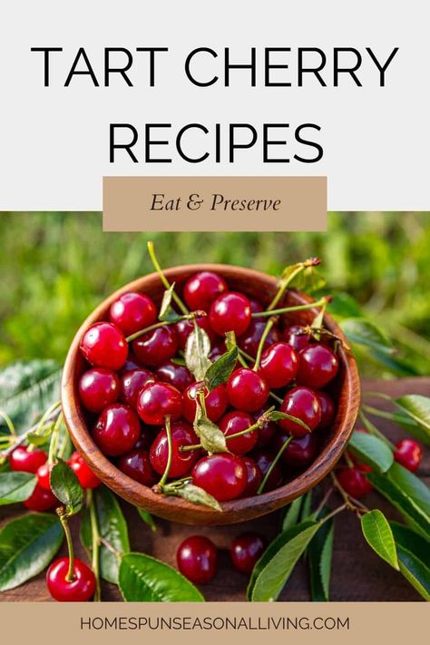 Make the most of tart cherries with these recipes for baking, cooking, and preserving. Tart Cherry Recipes Healthy, Tart Cherry Recipes, Cherry Recipes Healthy, Cherries Recipes, Tart Cherries Recipes, Sour Cherry Recipes, Fresh Cherry Recipes, Cherry Recipes Dessert, Montmorency Cherry