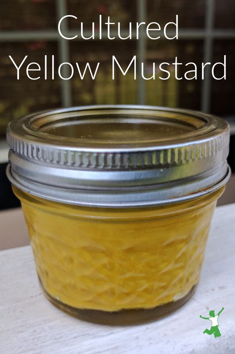 Fermented Homemade Mustard Recipe | Healthy Home Economist Fermented Mustard Recipe, Diy Mustard Recipes, Home Made Mustard Recipe, Mustard Recipe Homemade, Yellow Mustard Recipe, Homemade Mustard Recipe, Fermented Mustard, Mustard Recipes, Italian Meatloaf Recipes