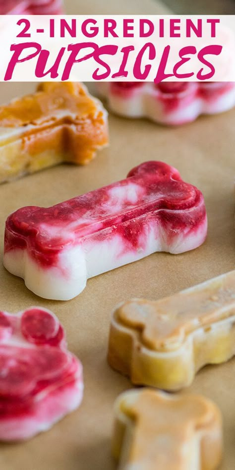 Popsicles For Dogs, Baking Mischief, Make Popsicles, Foods Dogs Can Eat, Pet Treats Recipes, Dog Treats Homemade Easy, Easy Dog Treat Recipes, Frozen Dog Treats, Dog Biscuit Recipes