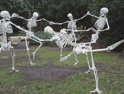 ☠ on Instagram: “Mood.” Skeleton Pics, 밈 유머, Funny Skeleton, Spooky Scary, Grunge Photography, What’s Going On, Grunge Aesthetic, Images Gif, Reaction Pictures