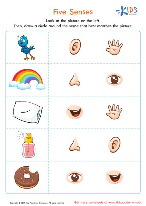 Senses Worksheets Kindergarten, Worksheet 5 Senses, 5 Senses Worksheet Kindergarten, My Senses Worksheets, Playschool Worksheets, 5 Senses Activity For Preschoolers, My Five Senses Activities Free Printable, Five Senses For Preschool, The 5 Senses Preschool Activities