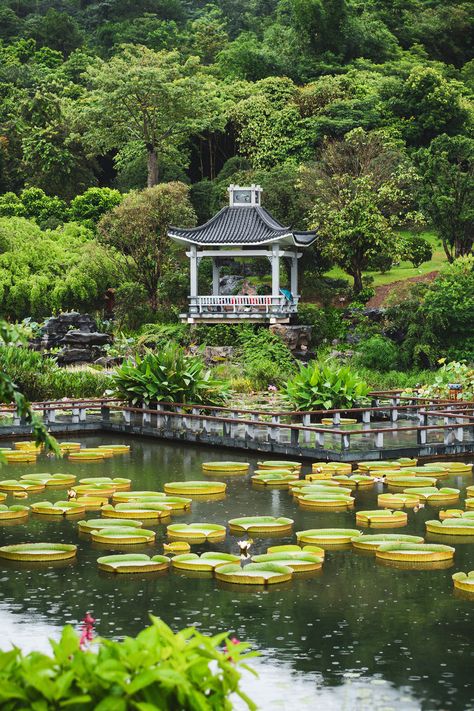 Qingxiu Mountain Park,it's green all the year around——the most beautiful park in Nanning,China. China Jungle, Garden Design Simple, China Destinations, Summer Places, China Trip, Nanning, China Culture, Zen Garden Design, Mountain Park