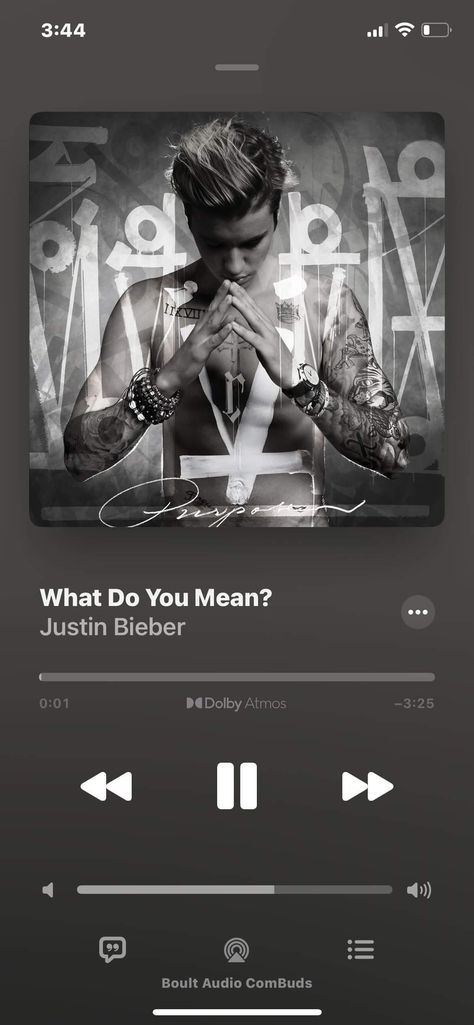 For only flex purpose 😉👍 Spotify Screenshot, Iphone Music, What Do You Mean, Music Playlist, Apple Music, Justin Bieber, Apple Iphone, Love You, Iphone