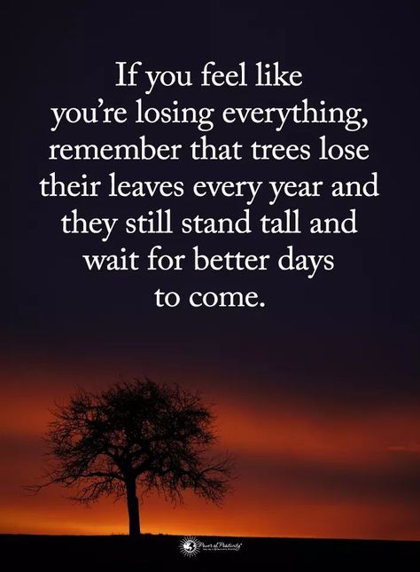 if you feel like you're losing everything, remember that trees lose their leaves every year and they still stand tall and wait for better days to come. Motivational Quotes For Work, Success Words, Quotes For Work, Now Quotes, Quotes Encouragement, Work Success, Work Motivational Quotes, Better Days, Quotes About Moving On