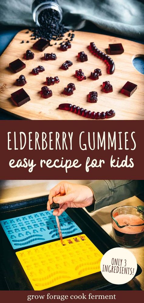 Seasonal Recipes Fall, Elderberry Benefits, Medicine Recipes, Elderberry Syrup Recipe, Homemade Elderberry, Elderberry Recipes, Gummies Recipe, Herbal Medicine Recipes, Elderberry Gummies