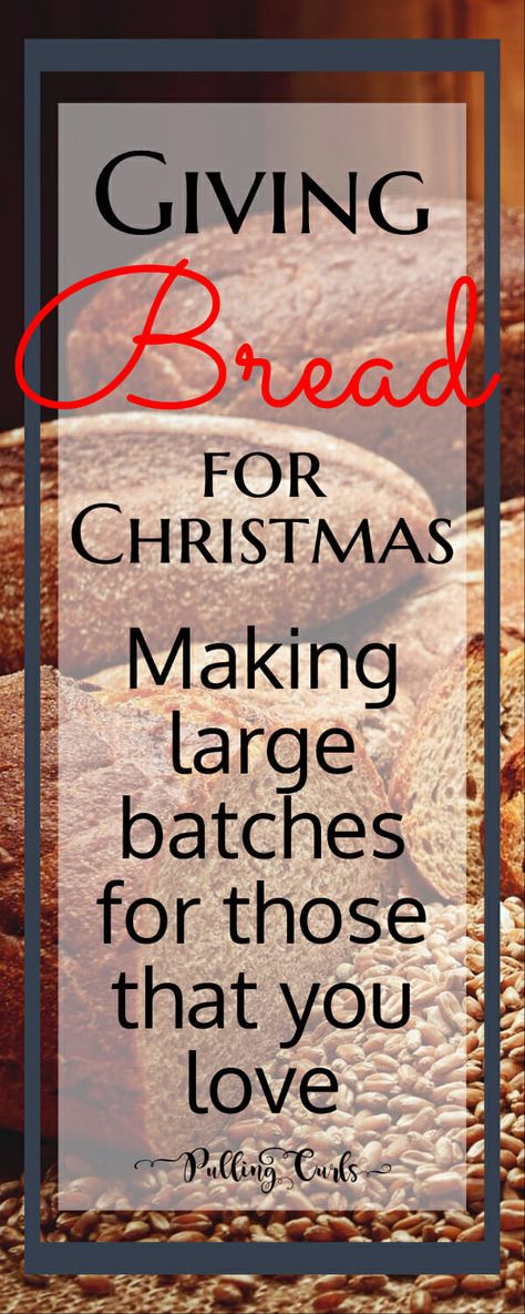 Easy Christmas Breads For Gifts, Bread For Gifts, Bread For Christmas, Christmas Bread Recipes, Bread Gifts, Holiday Bread, Christmas Bread, Christmas Neighbor, Christmas Platter