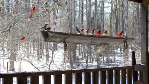 Fly Through Bird Feeder Plans, Big Bird Feeder, Large Bird Feeder, Bird Feeders Diy, Bird Feeder Station, Large Bird Feeders, Squirrel Feeders, Flea Market Gardening, Bird Feeding Station