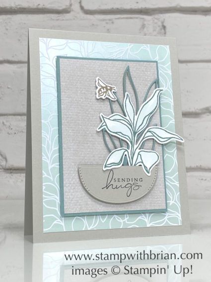 Stampinup Splendid Thoughts, Splendid Thoughts Stampin Up Cards, Stampin Up Sympathy, Stampin Up Sympathy Cards, Thoughts And Prayers, Mini Cat, Holiday 2022, Puff Paint, Sending Hugs