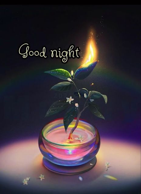 Beautiful Good Night Images Pictures, Gud Night Images, Beautiful Good Night Messages, Good Night Pics, Romantic Good Night Image, Romantic Love Poems, New Good Night Images, Good Morning Kisses, Good Night Images Hd