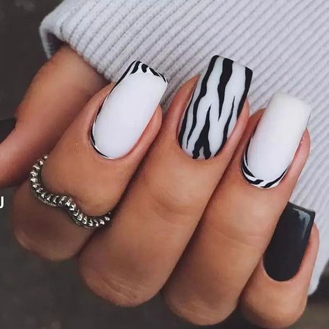 Nail Zebra Designs, Zebra Nails Acrylic, Zebra Nail Art, Black And White Nail, Zebra Print Nails, Zebra Nails, Animal Print Nails, Cute Gel Nails, White Nail