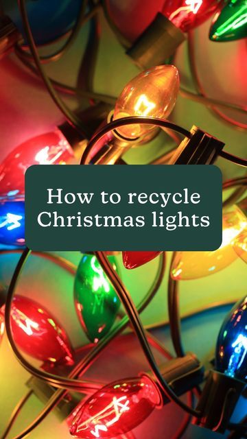 Old Fashioned Christmas Lights, Old Boxes, Recycling Programs, Old Christmas, Inside The Box, After Christmas, Educational Games, Books To Buy, Sustainable Living