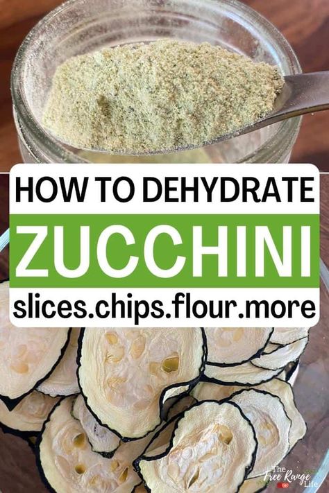 How to Dehydrate Zucchini Zucchini Chips Dehydrator, Dried Zucchini Chips, Vegetable Preserving, Dehydrated Chips, Dehydrating Zucchini, Dehydrate Zucchini, Dehydrate Recipes, Dehydrated Zucchini, Dehydrated Zucchini Chips