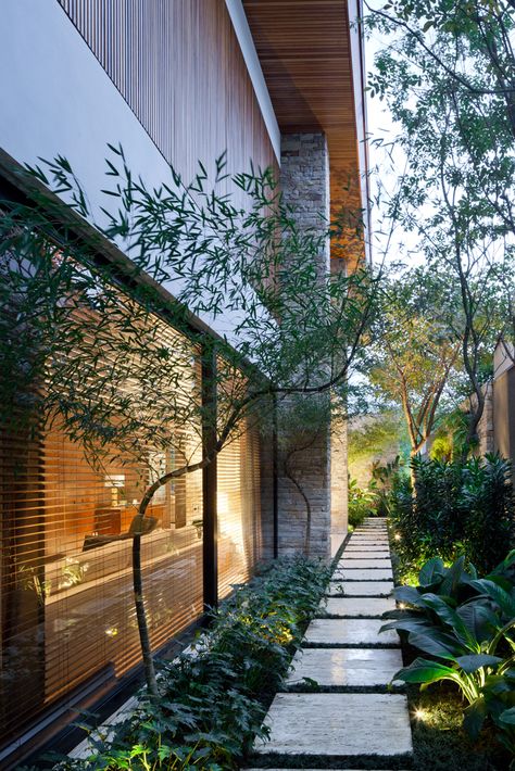 Gallery of LO House / Dado Castello Branco Arquitetura - 35 Outdoor Ideas Backyard, Ideas Backyard Patio, Antipolo, Landscape Outdoor, Patio Decor Ideas, Courtyard Gardens Design, Outdoor Patio Ideas, Casa Exterior, Side Garden