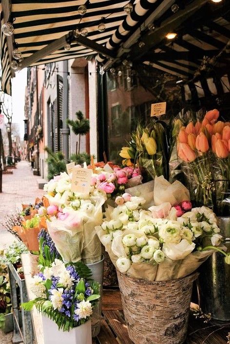 Flower Aesthetics, A Bunch Of Flowers, Blue Eyed Girls, Flower Store, Florist Shop, Spring Mood, Morning Inspiration, Flower Therapy, Floral Shop