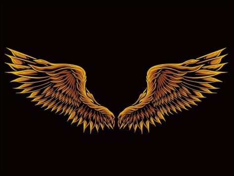 Color editable bird wings vector element... | Premium Vector #Freepik #vector #wings #eagle-wings #wings-logo #bird-wings Eagle Wings Logo, Eagle Background, Eagle Wing Tattoos, Editing Logo, Brown Eagle, Night Hawk, Logo Bird, Colorful Wings, Fire Love