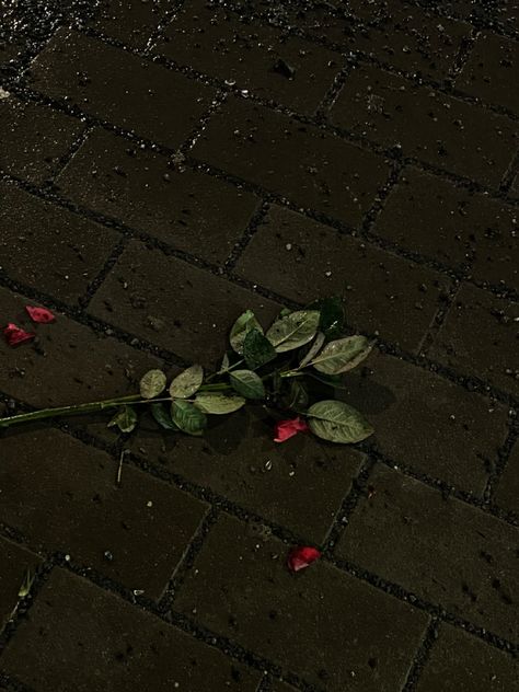 dark romantic aestetic dead roses broken heart Wilting Roses Aesthetic, Valentines Dark Aesthetic, Broke Aesthetics Dark, Broke Heart Aesthetics Dark, Broken Asethic Photo, Broken Love Aesthetique, Rose Core Aesthetics, Dark Heartbreak Aesthetique, Dead Roses Aesthetic