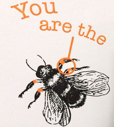 Bees knees Lady Pilot, Bee's Knees, My Funny Valentine, Letterpress Cards, Aesthetic Quotes, Smiles And Laughs, Bees Knees, Pick Up Lines, How Many People