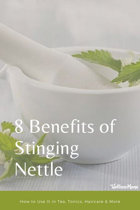 Nettle is one of my favorite herbs. Also called “stinging nettle,” it is packed with nutrients and is even one of the ingredients in my homemade pregnancy tea. Stinging nettle benefits go far beyond pregnancy though. Sting Nettle Benefits, Benefits Of Stinging Nettle Tea, Stinging Nettle Tincture Benefits, Nettle Benefits Health, Stinging Nettle Tea Benefits, Nettles Benefits, Nettle Leaf Tea Benefits, Stinging Nettle Benefits, Benefits Of Stinging Nettle