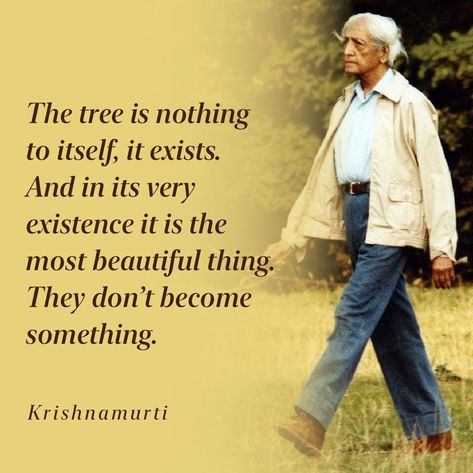 J. Krishnamurti Quotes | The tree is nothing to itself, it exists Krishnamurti Quotes Wisdom, Jiddu Krishnamurti Quotes, Jk Quotes, Warrior Monk, J Krishnamurti Quotes, Adult Children Quotes, Krishnamurti Quotes, J Krishnamurti, Resilience Quotes