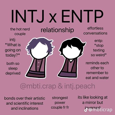 Entp X Intp Mbti Ship, Intj And Entp Relationship, Intj And Intp Relationships, Entp And Intp Relationship, Entp Bingo, Entp In Love, Intj Girl, Mbti Analysts, Intp X Entp