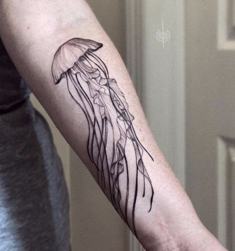 Tattoo Wrap Around Arm, Wrapped Around Arm Tattoo, Around Arm Tattoo, Jellyfish Tattoo, Sea Creature, Tattoo On, Jellyfish, Arm Tattoo, Wrap Around