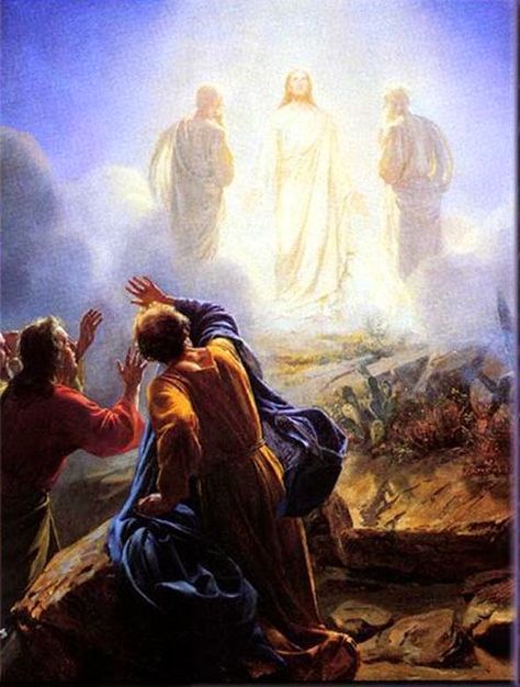 Transfiguration Of Jesus, Image Of Jesus, The Transfiguration, Bible Pictures, Jesus Painting, Jesus Christ Images, Biblical Art, Jesus Lives, Jesus Art