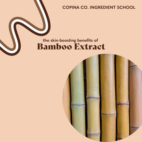 The Skin-Boosting Benefits of Silica and Bamboo Extract Collagen Drink, Chinese Herbal Medicine, Bamboo Leaf, Bamboo Extract, Coconut Milk Powder, Bamboo Leaves, Ayurvedic Medicine, Nail Health, Strong Nails