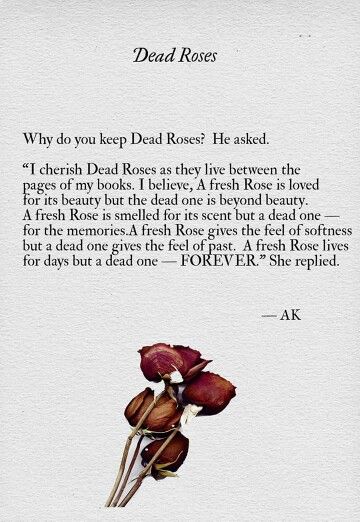 Romanticism Quotes, Dead Roses, Chess Quotes, Flower Quote, Meaningful Poems, Poetic Quote, Poet Quotes, Words That Describe Feelings, Poetic Words