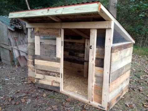 Chicken House Diy, Pallet Coop, Pallet Chicken Coop, Chicken Coop Pallets, Easy Chicken Coop, Chicken Barn, Portable Chicken Coop, Chicken Pen, Diy Chicken Coop Plans